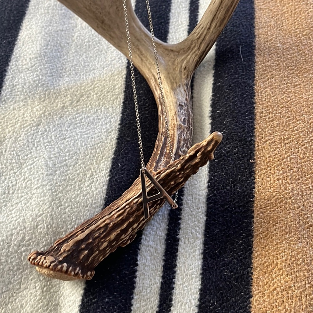 A pendant necklace